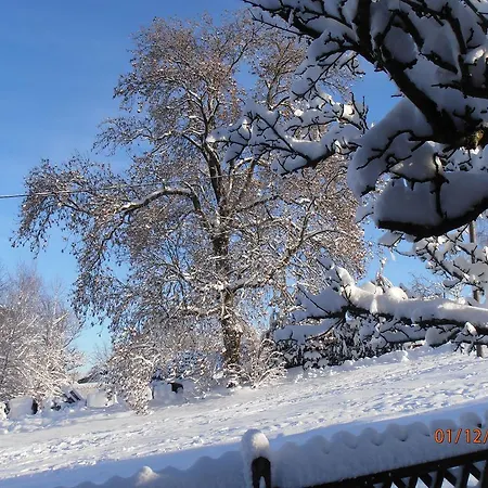 Ferienwohnung-mitreuter