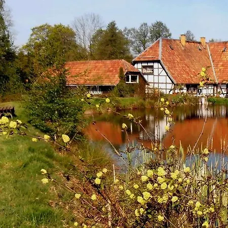 Ferienwohnung-mitreuter Wildenau