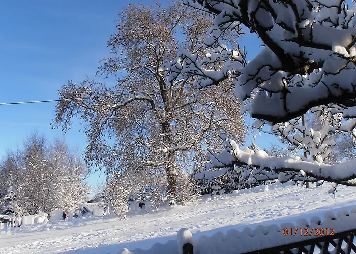 Ferienwohnung-mitreuter