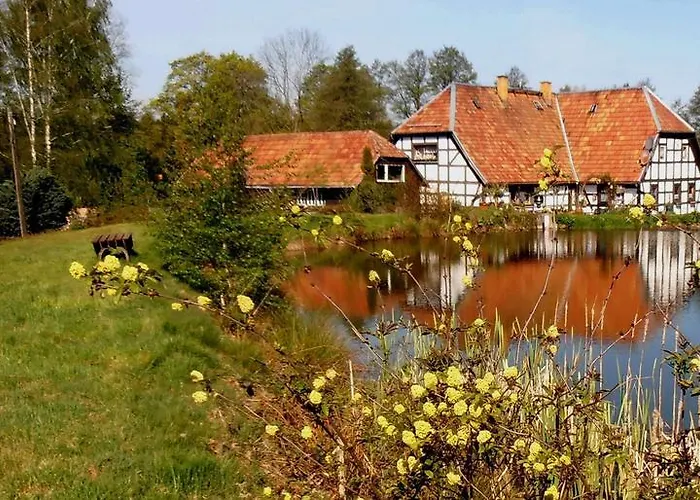 Ferienwohnung-mitreuter Wildenau